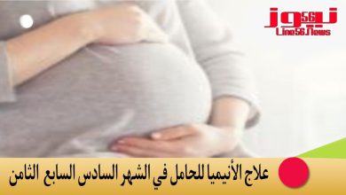 علاج الأنيميا للحامل في الشهر